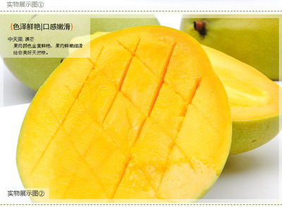 海南澳芒 熱帶陽光的黃金饋贈，美容養顏的自然密碼